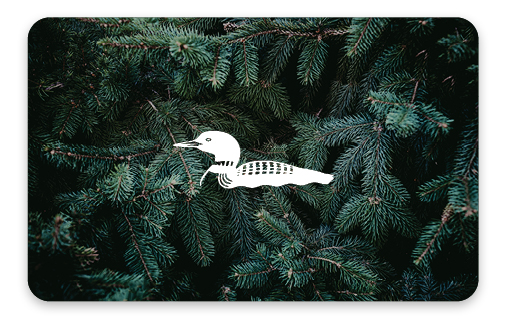 Northern Reflections Gift Certificate - Celebration